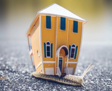 martha-may-glenview-home (Demo)