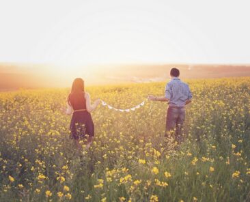 pexels-photo-302035 (Demo)