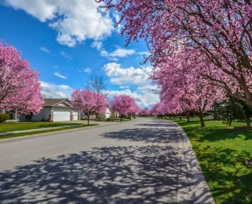 pexels-photo-533416 (Demo)